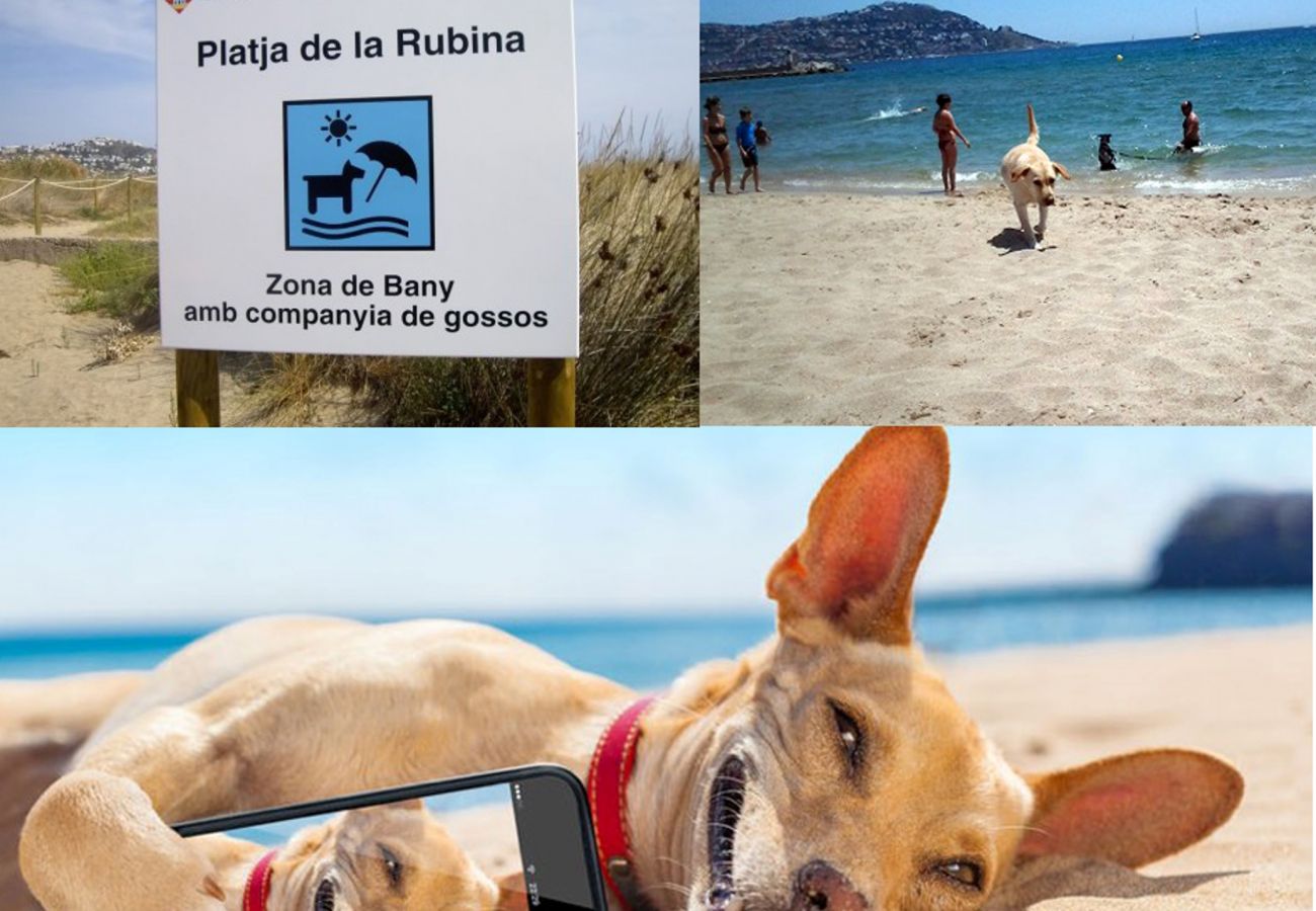 Apartamento en Empuriabrava - 0132-PORT MOXO  Apartamento al canal con vistas