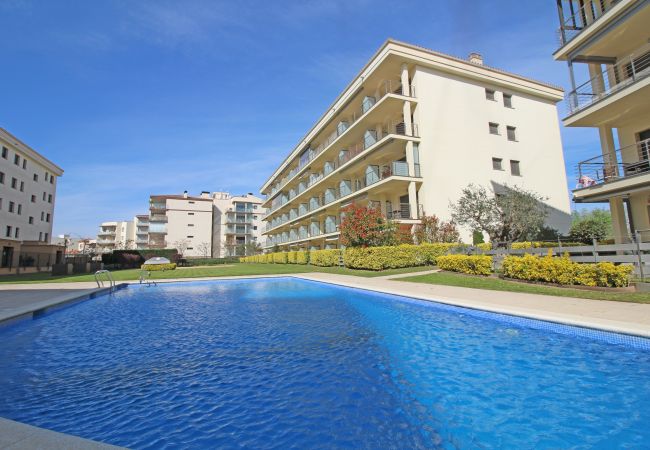 Apartment in Rosas / Roses - 8010-MIL.LENI Apartment with community pool and parking