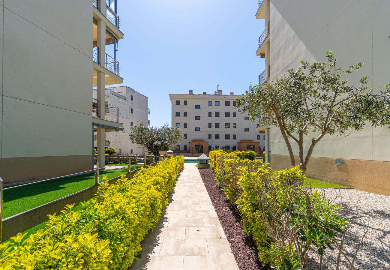 Apartment in Rosas / Roses - 8010-MIL.LENI Apartment with community pool and parking