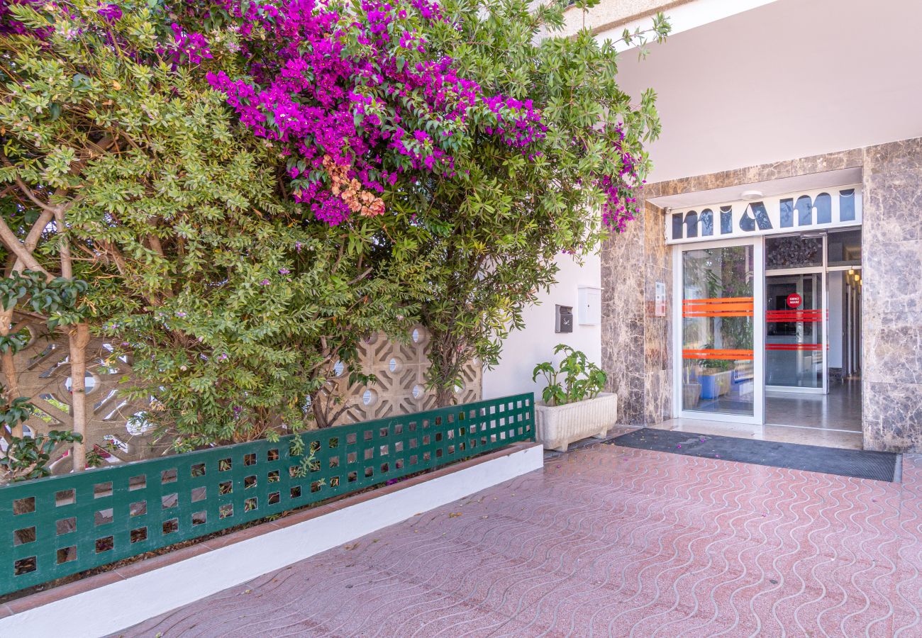 Studio à Empuriabrava - 0110-MIAMI Studio avec vue sur la mer